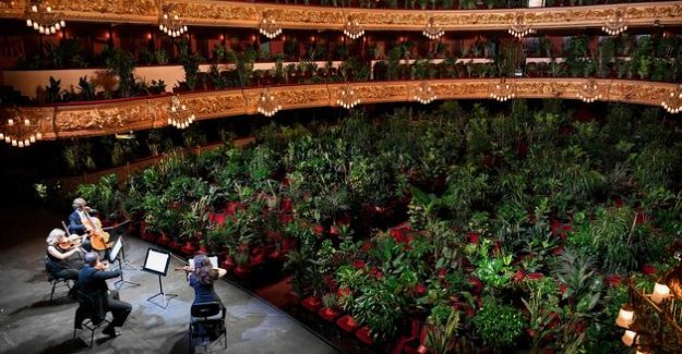 Barcelona : the opera house reopens its doors with more than 2000 plants as spectators