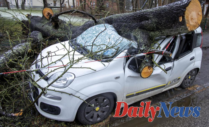Northern Europe is battered by a third major storm; 14 people are killed