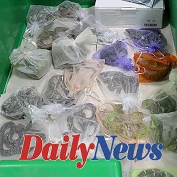 52 snakes and lizards were found in the clothing of border officials