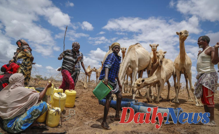 Oxfam says that global action is needed to address East Africa's hunger crisis.