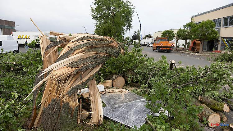 North Rhine-Westphalia: Police are investigating after a storm because of sensational tourism