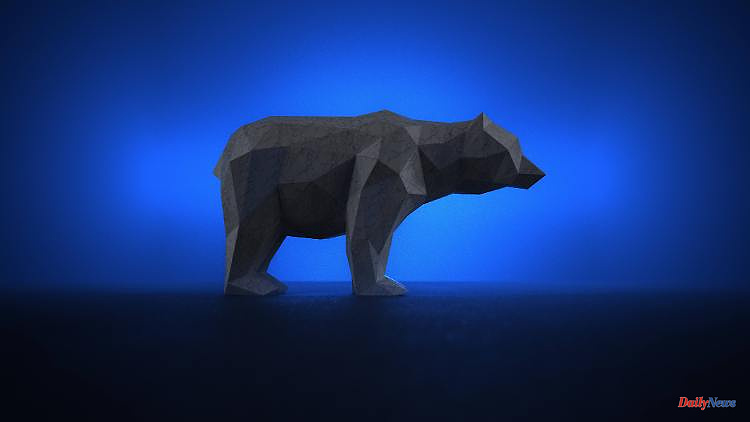 Turbulent stock markets: what to do in bear markets?