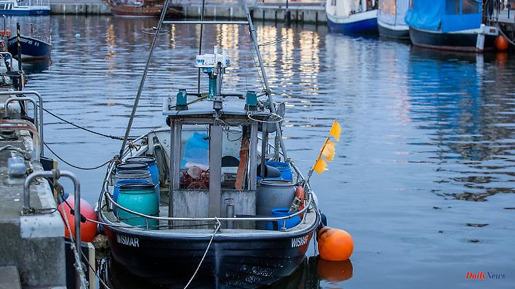 Mecklenburg-Western Pomerania: Ministry: number of coastal fishermen has fallen by ten percent