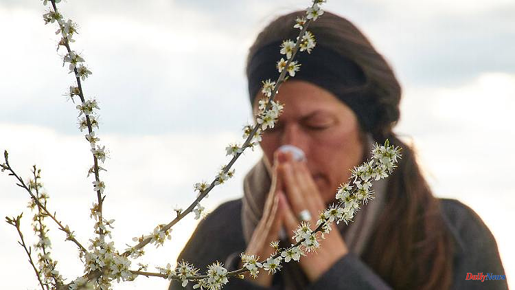 Rain cleans the air: those allergic to pollen suffer without a breather