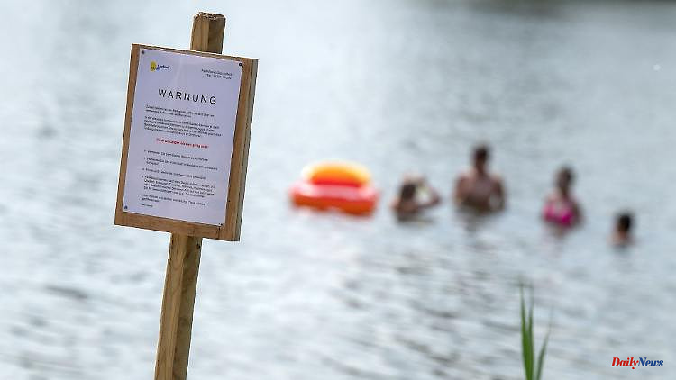 Saxony: Blue-green algae at the Bautzen dam: the office advises against swimming