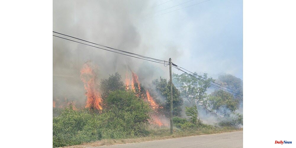 Drome. Fire in Chateauneuf-du-Rhone: 50 firefighters mobilized