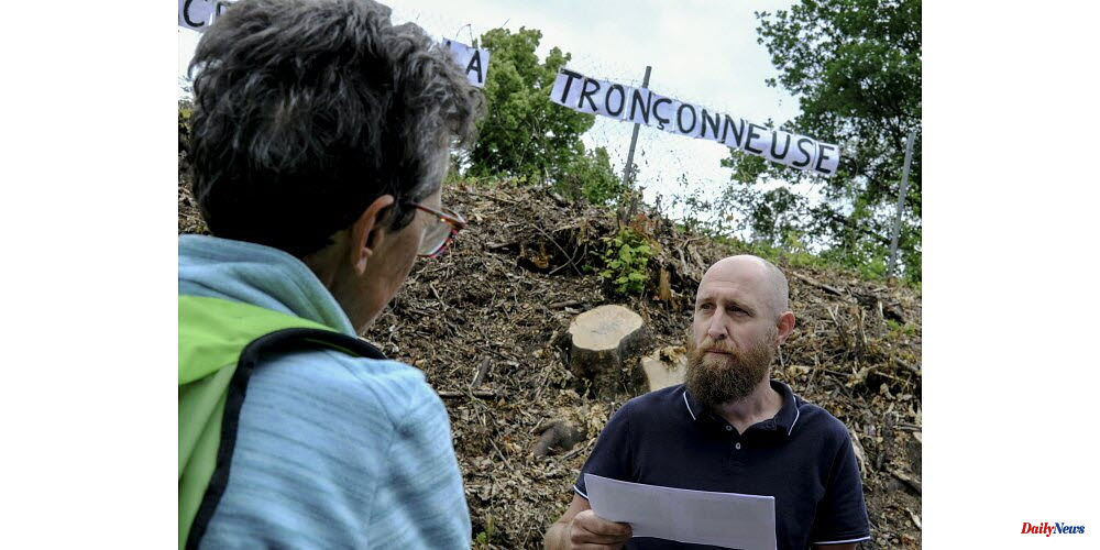 High mountains. Tree felling by the SNCF: The construction site was suspended pending further discussions