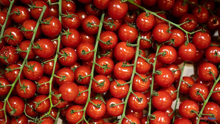 More pesticide residues across the EU: "We have grown defenseless vegetables"