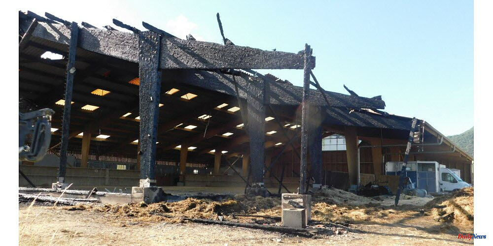 Barbieres. Drome: Call for witnesses after the fire at an equestrian centre