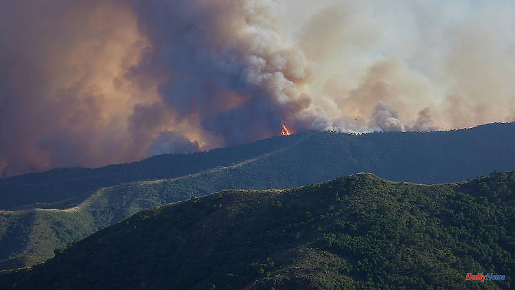 Tourist province Costa del Sol: 3000 people flee from forest fires in Spain
