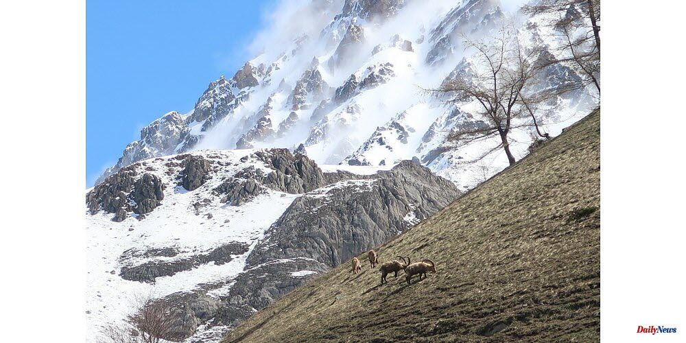 Monetier-les-Bains. Mountain wilderness wants to save Lauzet bus stop