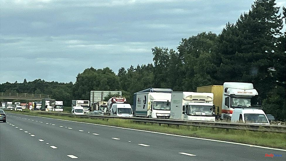 Fuel protests: Go-slow convoys cause motorway delays