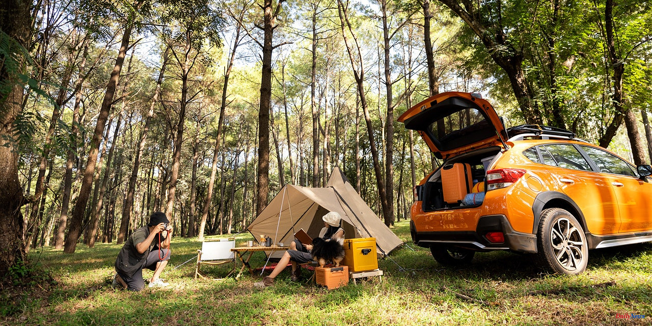 Everything you need for your next car camping trip