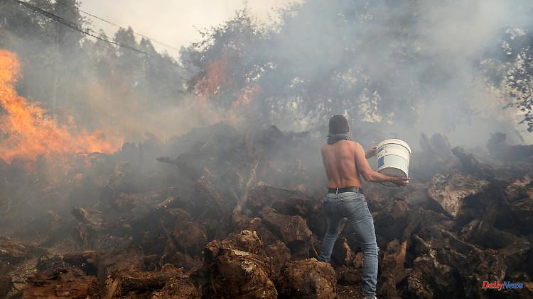 Forest fires and crop failures: heat has a devastating effect in Europe