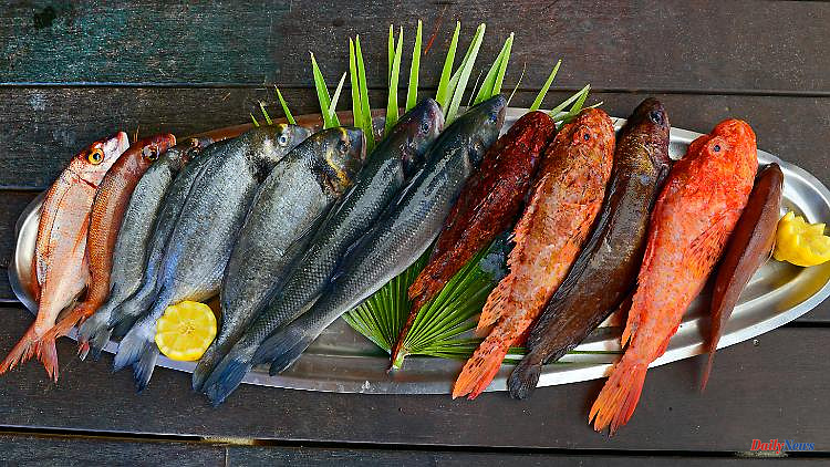 "Better Fish Than Botox": How Healthy Is a Pescetarian Diet?