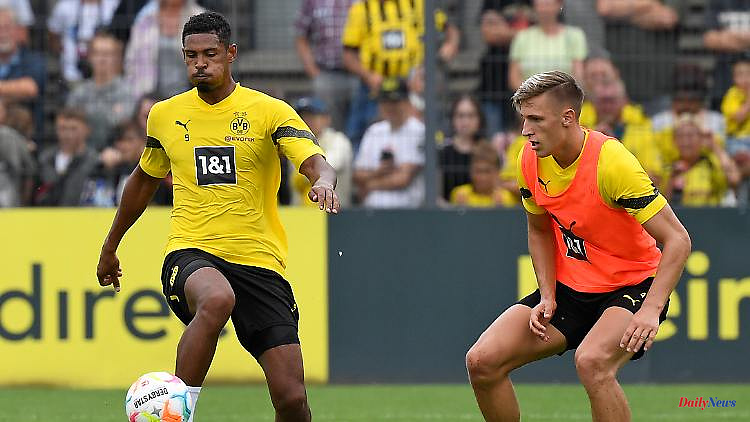 Testicular tumor in Sebastién Haller: These are the consequences for Borussia Dortmund