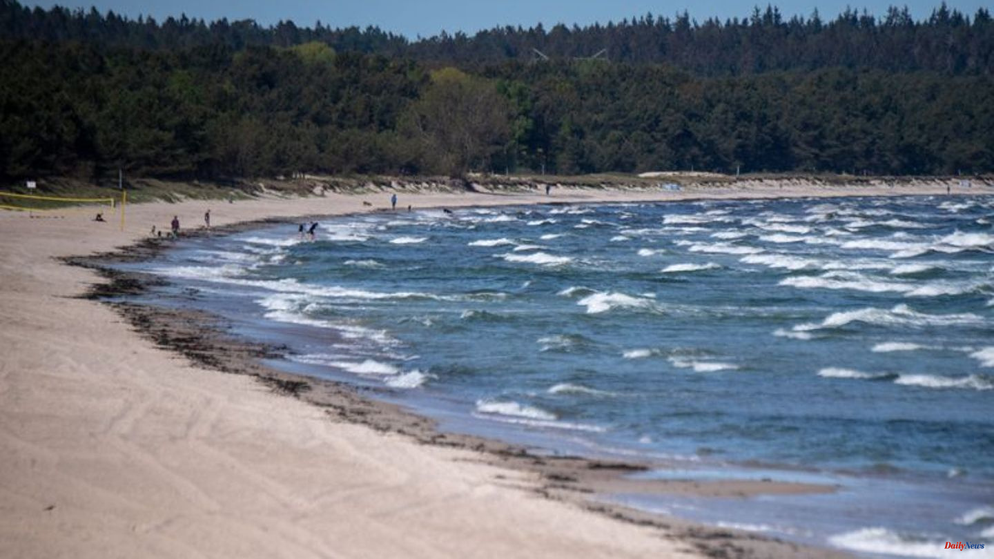 Rügen: Woman saves vacationers from the Baltic Sea and dies