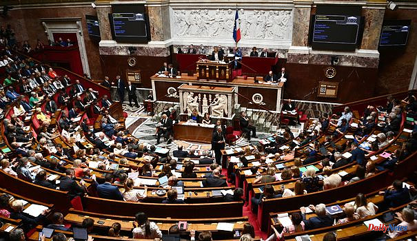 Purchasing power: the vote for the first part is progressing slowly in the Assembly