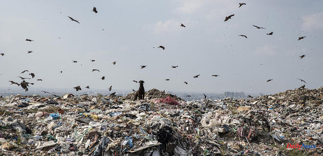 India bans single-use plastics to prevent them from being asphyxiated by the waste