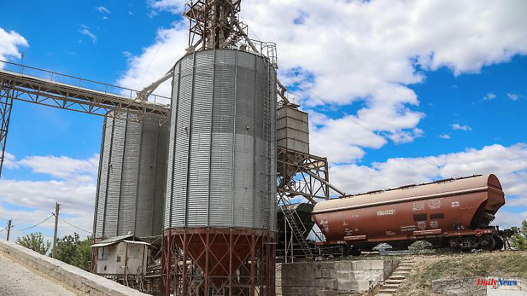 Negotiations in the "final phase": Ukraine sees grain crisis close to resolution
