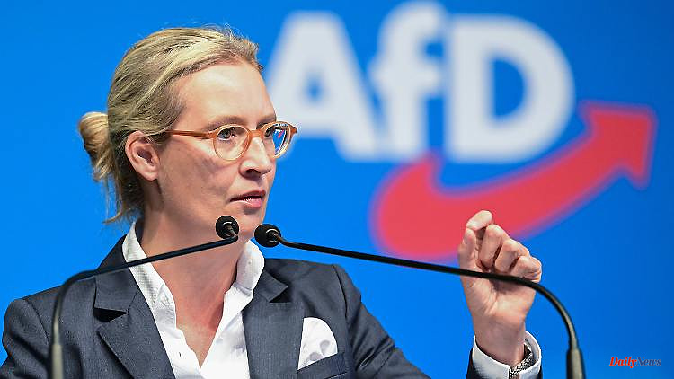 Dual leadership after election chaos: Südwest-AfD is trying to succeed Weidel