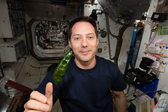 The first tacos with space peppers on the menu of the International Space Station