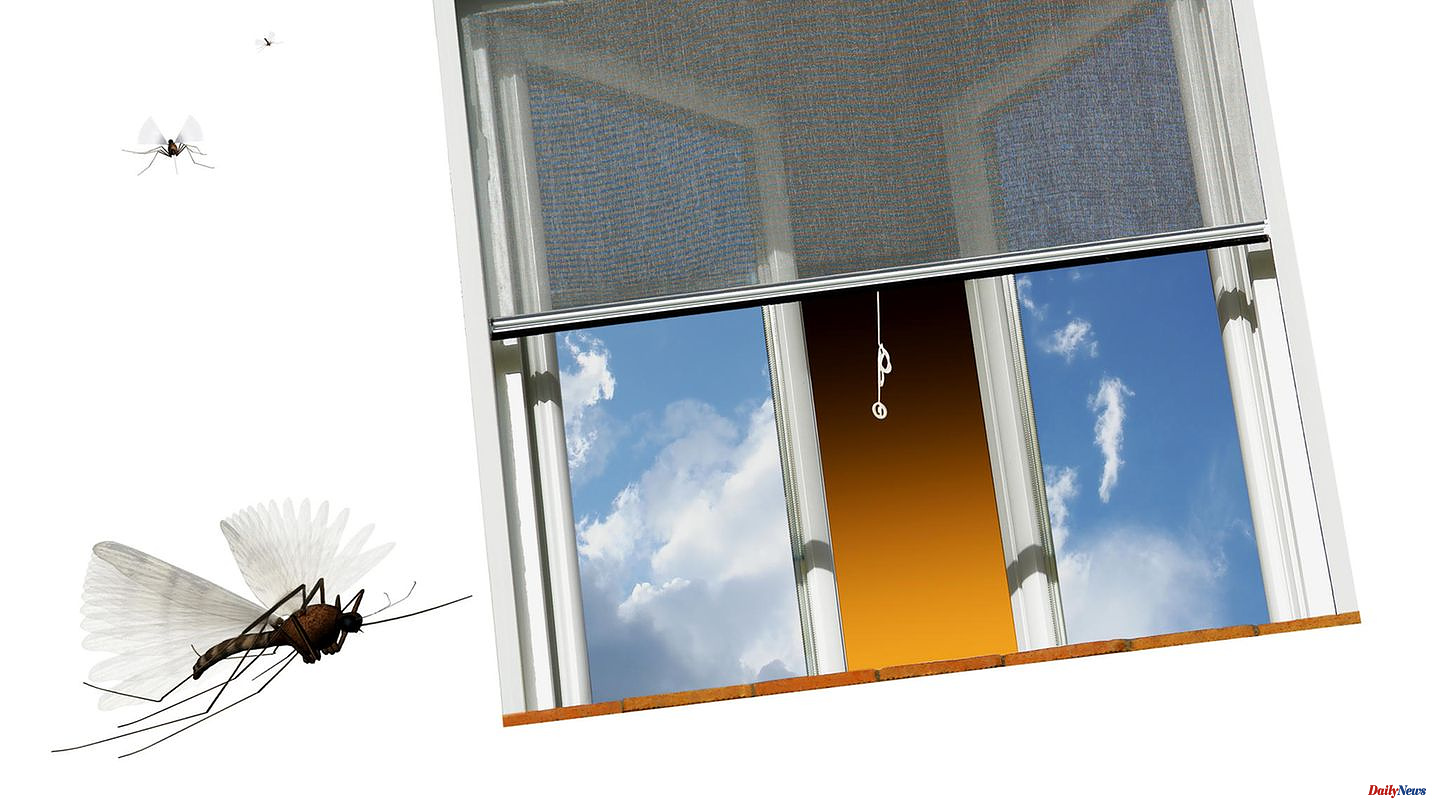 Without drilling: Insect protection for windows: This is how you protect your rooms from flying pests