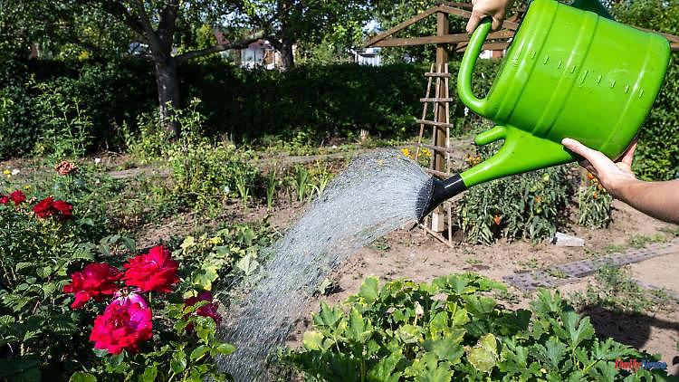 Thuringia: Association: Actively manage allotment gardens during drought
