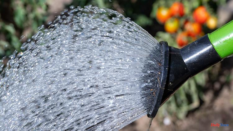 Saxony: Saxony's allotment gardeners are struggling with water shortages