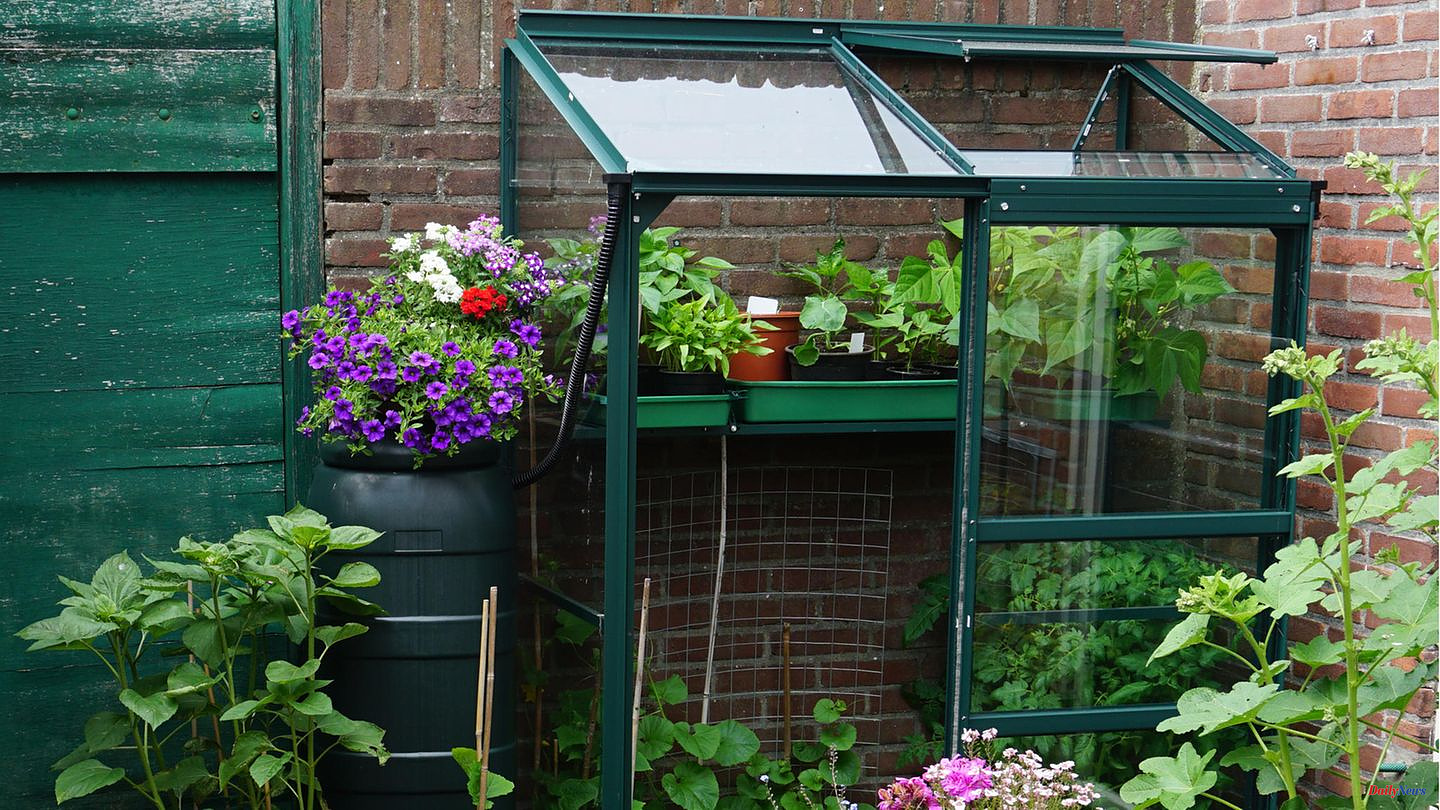 Vegetable cultivation: greenhouse for the balcony: How to grow your own vegetables - even without a garden