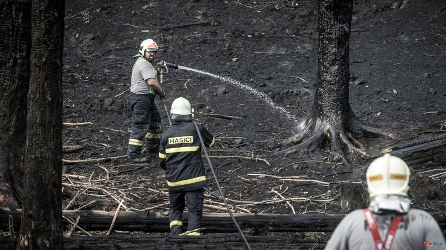 Firefighting operation: Around 900 firefighters fight forest fires in the Czech Republic