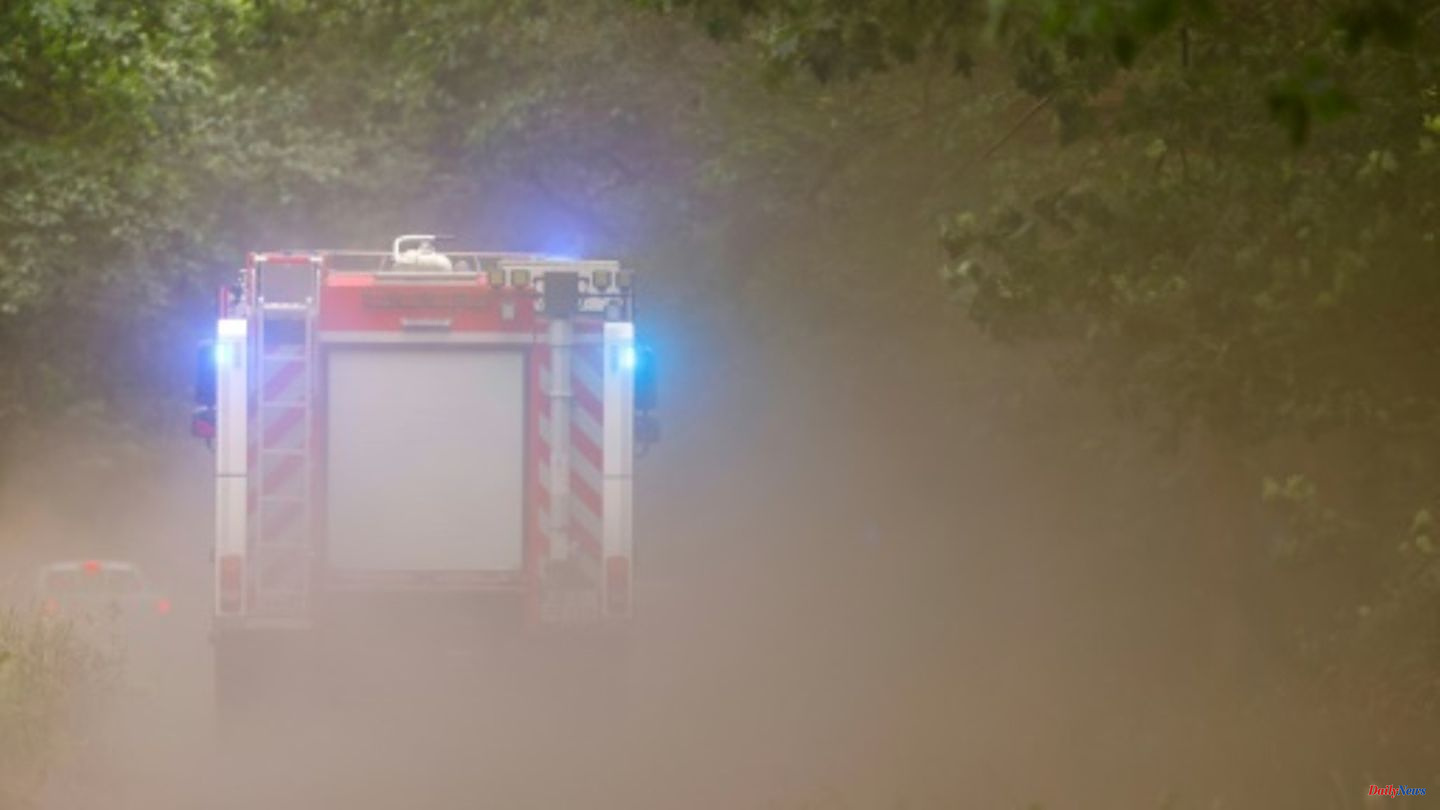 Fire in Berlin's Grunewald triggers large-scale deployment of the fire brigade