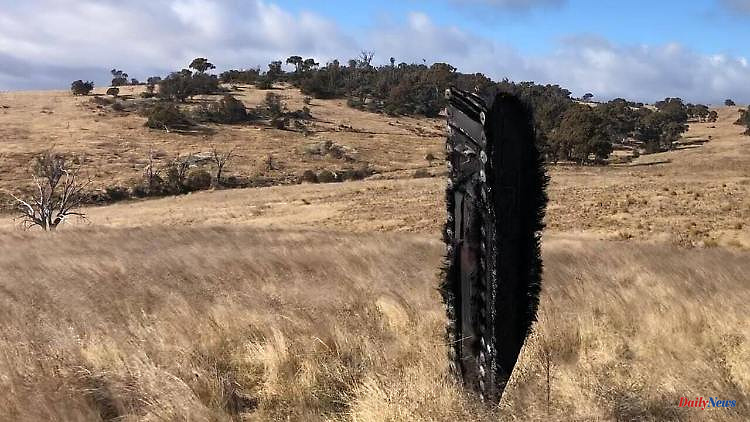 Charred part three meters high: SpaceX space junk falls on sheep pasture
