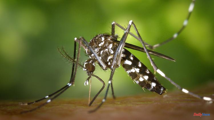 Deadly mosquitoes and ticks: climate change brings disease vectors to the country