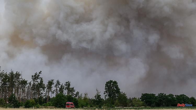 Mecklenburg-Western Pomerania: Around 800,000 euros in damage in field and forest fires