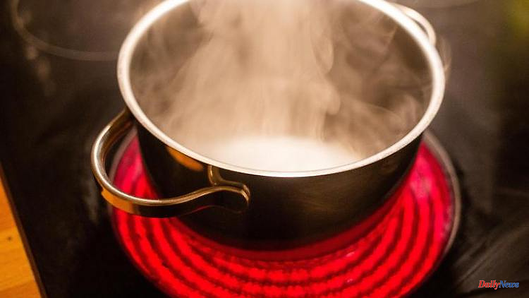 Oven, stove or microwave?: This is how energy-efficient cooking works