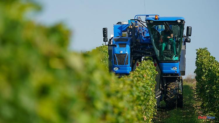 Saxony-Anhalt: The area under cultivation for wine in Saxony-Anhalt is constantly increasing