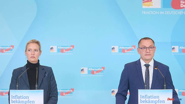Party leadership in embarrassment: AfD politicians break off trip to Russia