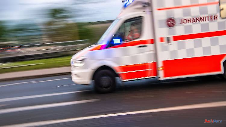 Bavaria: Fatal accident during forest work - woman killed by tree