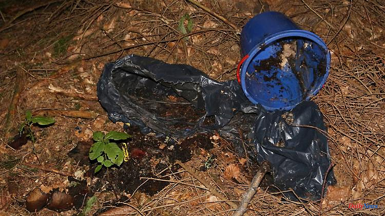 Saxony: dead baby in the forest: investigators with a new call to the case