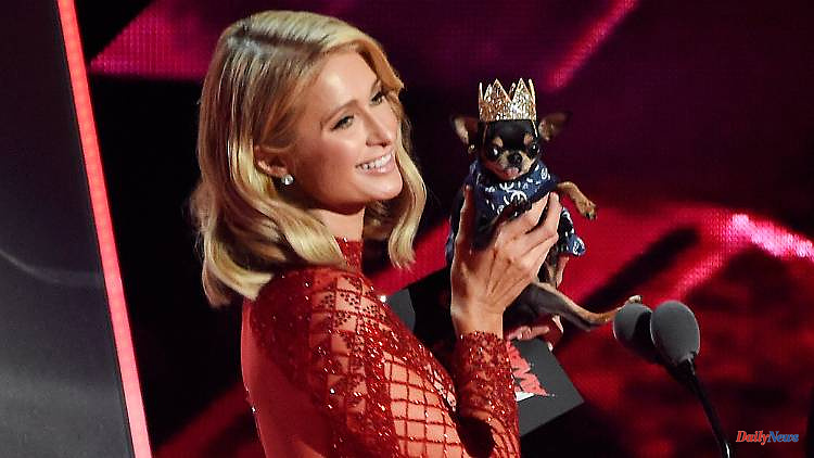 With detective and drone plans: Paris Hilton is looking for her dog