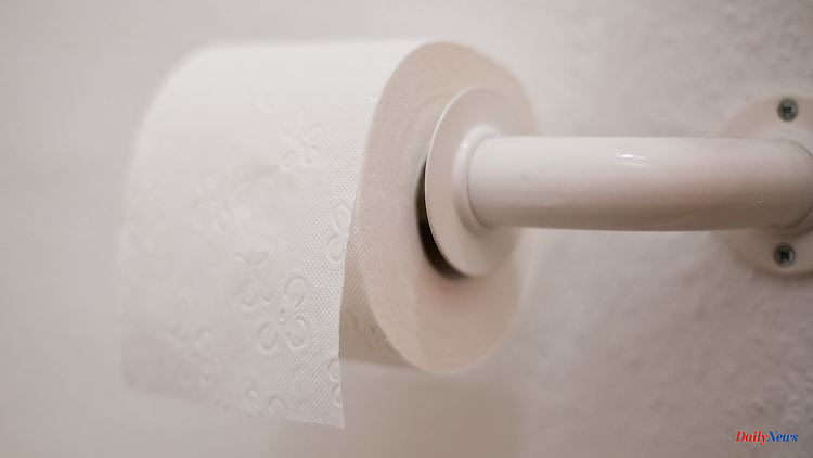 Paper industry in energy crisis: toilet paper manufacturers rely on "double boom"