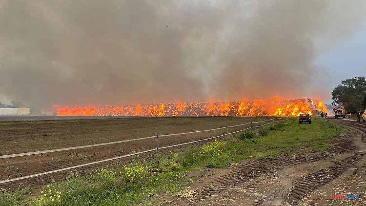 Mecklenburg-Western Pomerania: Straw camp continues to burn: area of ​​ex-rider Schockemöhle