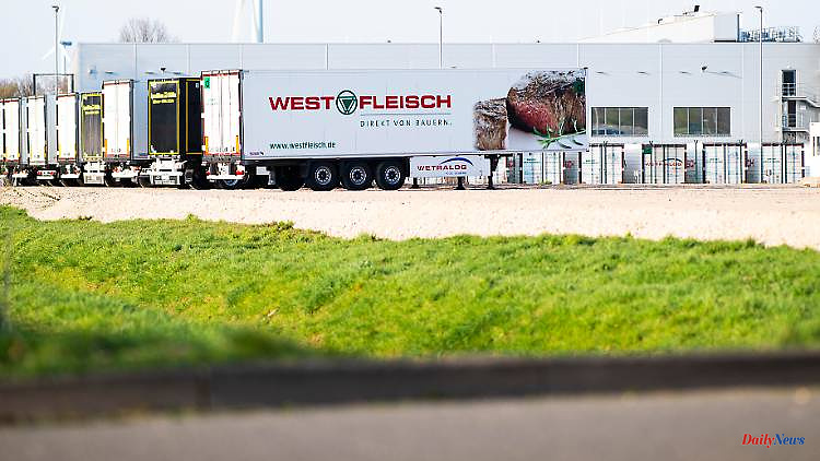 Seven companies reported: cruelty to animals at Westfleisch suppliers uncovered