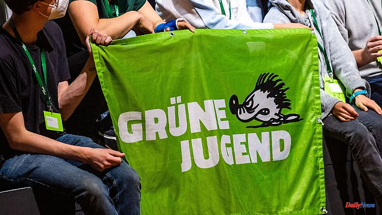 Baden-Württemberg: Green youth: against their own state government on the street