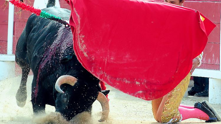 Barbarism or cultural heritage?: Bullfighting tradition divides France