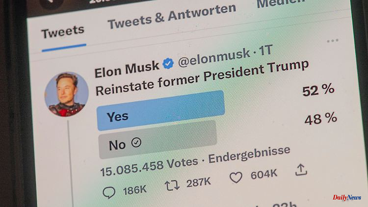 "Sham-democratic": Criticism of Musk's Twitter vote on Trump