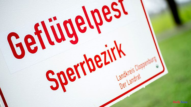 Hesse: Gießen district: No evidence of further bird flu cases