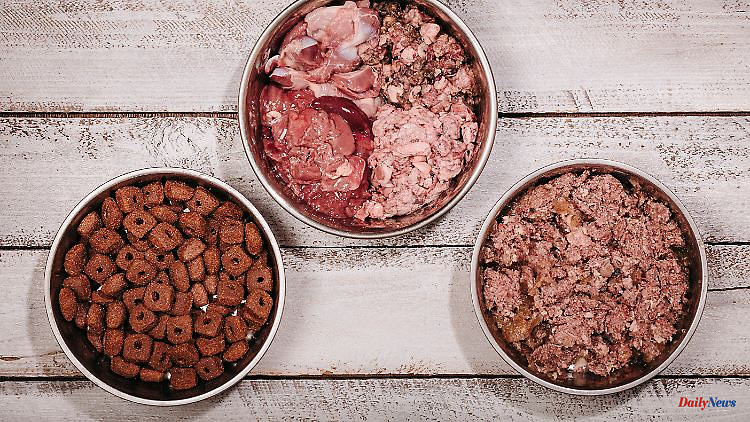 A closer look into the bowl: dry food is the most environmentally friendly