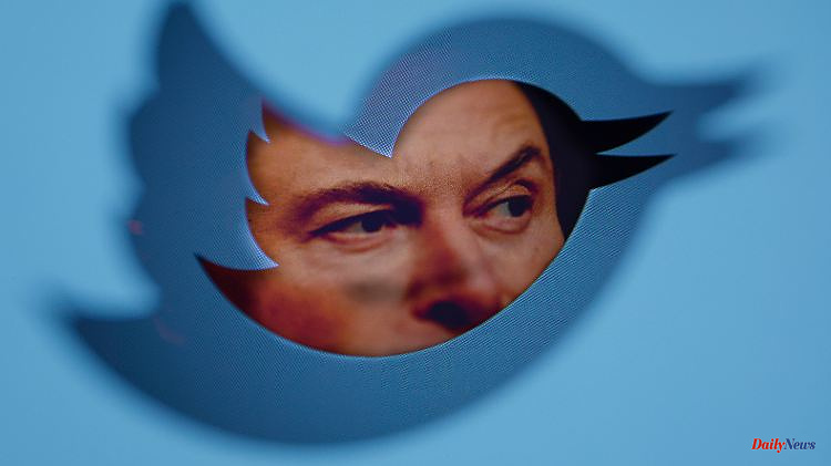 General amnesty announced: Musk unlocks (almost) all blocked Twitter accounts